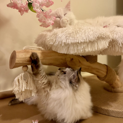 Contemporary Scandinavian Round Particleboard Natural Fruitwood Velvet Fabric Hemp Rope Cat Tree 2-Tier For Living Room
