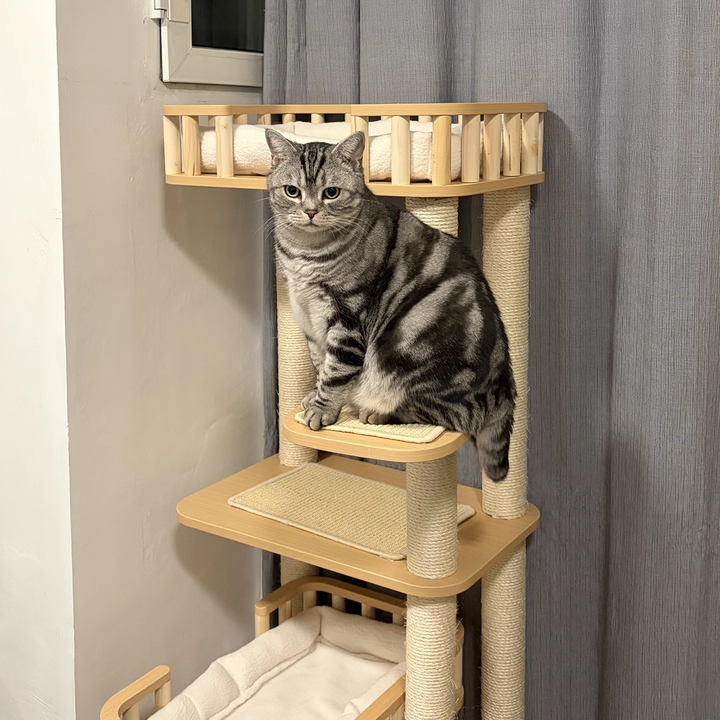 Contemporary Scandinavian Square Multi-Layer Solid Wood Panel Velvet Fabric Sisal Cat Tree 4-Tier For Living Room
