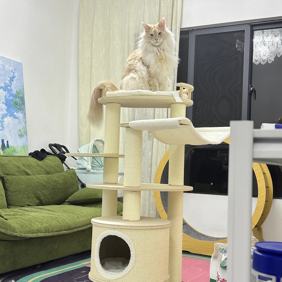 Contemporary Scandinavian Round Multi-Layer Solid Wood Panel Particleboard Fiberboard Velvet Fabric Paper Rope Paper Tube Cat Tree 5-Tier For Living Room