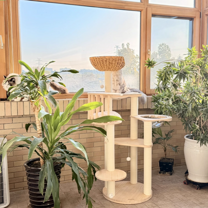 Contemporary Scandinavian Round Solid Pine Wood Faux Rattan Velvet Fabric Kraft Paper Rope Cat Tree 5-Tier For Living Room