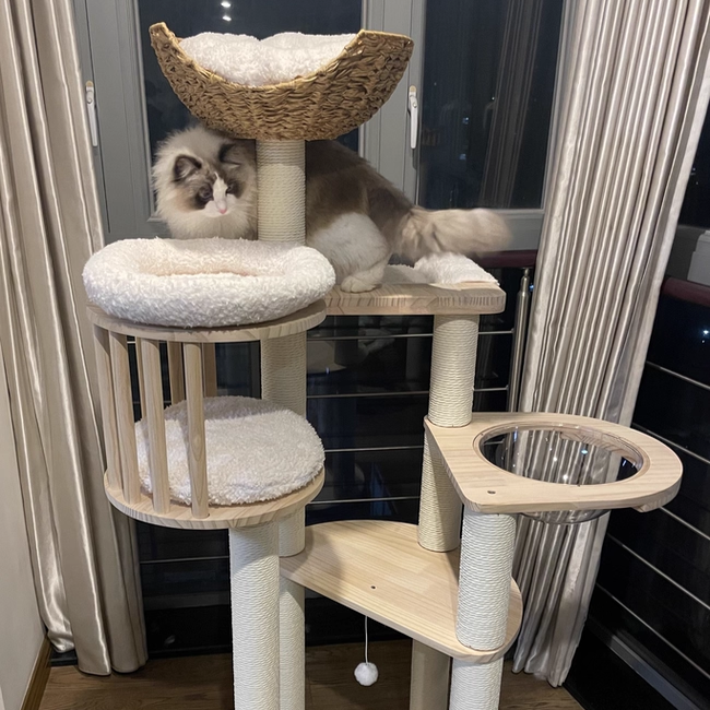 Contemporary Scandinavian Round Solid Pine Wood Faux Rattan Velvet Fabric Kraft Paper Rope Cat Tree 5-Tier For Living Room