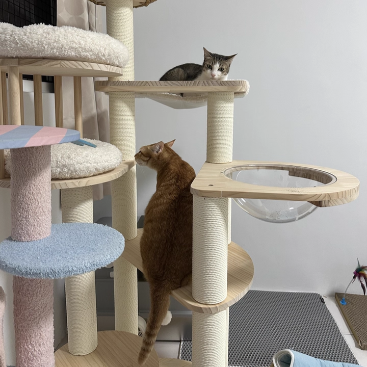 Contemporary Scandinavian Round Solid Pine Wood Faux Rattan Velvet Fabric Kraft Paper Rope Cat Tree 5-Tier For Living Room