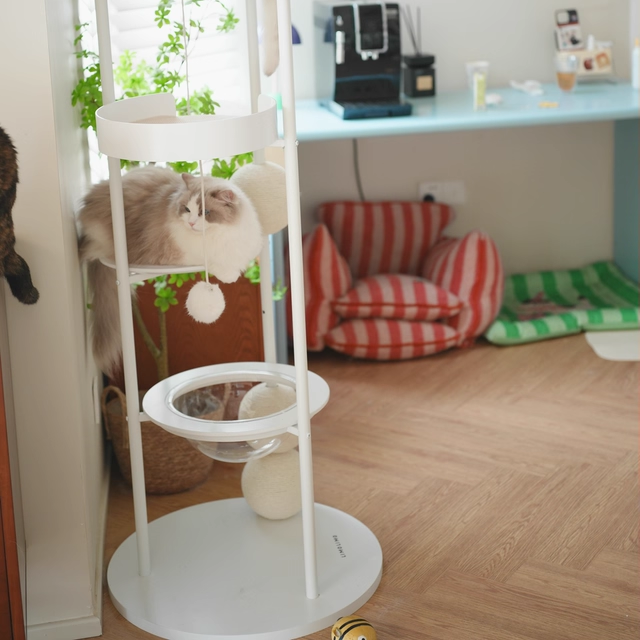 Contemporary Scandinavian Round Solid Pine Wood Medium-Density Fiberboard Iron Sisal Acrylic Cat Tree 5-Tier For Living Room