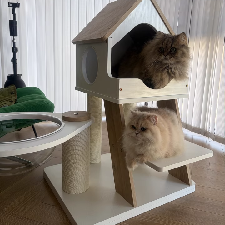 Contemporary Scandinavian Rectangular Plywood PVC Kraft Paper Rope Acrylic Cat Tree For Living Room