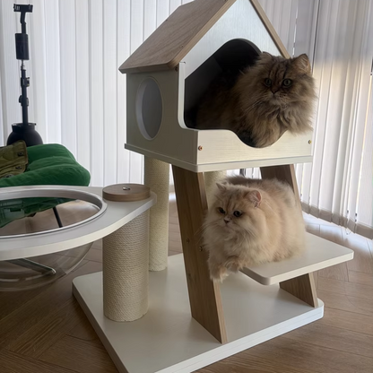 Contemporary Scandinavian Rectangular Plywood PVC Kraft Paper Rope Acrylic Cat Tree For Living Room
