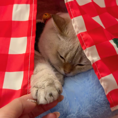 Contemporary Creative Triangle Velvet Linen Polyester Christmas Tent Cat Bed For Bedroom