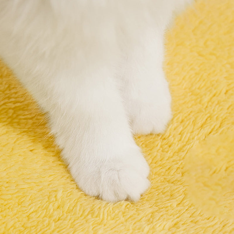 Contemporary Creative Square Velvet Corduroy PP Cotton Drip-Plastic Fabric Handheld Cat Bed For Bedroom