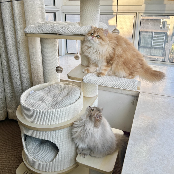 Contemporary Scandinavian Rectangular Plywood Fiberboard Paper Rope Paper Tube Corduroy Cat Tree 5-Tier For Bedroom