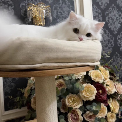 Contemporary Scandinavian Rectangular Rubberwood Pine Wood Pillar Corduroy Kraft Paper Rope Acrylic Cat Tree 5-Tier For Bedroom