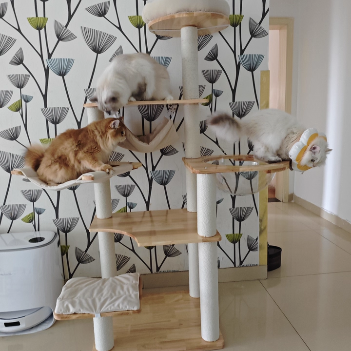 Contemporary Scandinavian Rectangular Rubberwood Pine Wood Pillar Corduroy Kraft Paper Rope Acrylic Cat Tree 5-Tier For Bedroom