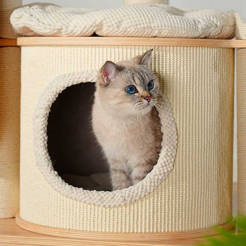 Contemporary Scandinavian Round E0-Grade Plywood Corduroy Hemp Rope Paper Tube Acrylic Cat Tree 5-Tier For Bedroom