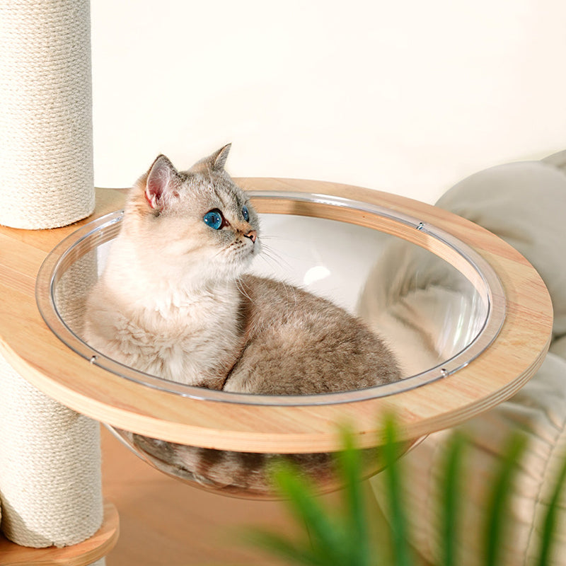 Contemporary Scandinavian Round E0-Grade Plywood Corduroy Hemp Rope Paper Tube Acrylic Cat Tree 5-Tier For Bedroom