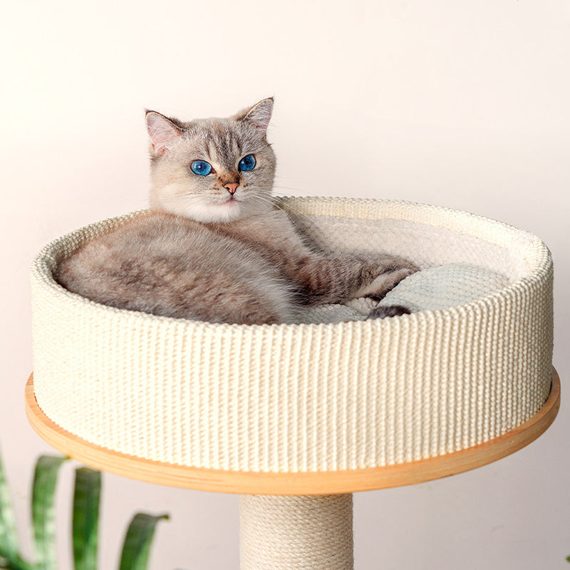 Contemporary Scandinavian Round E0-Grade Plywood Corduroy Hemp Rope Paper Tube Acrylic Cat Tree 5-Tier For Bedroom