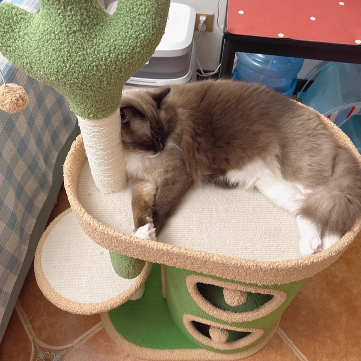 Contemporary Creative Round Particleboard Velvet Fabric Sisal Paper Tube Cactus Cat Tree & Condo 2-Condo 1-Perch For Bedroom