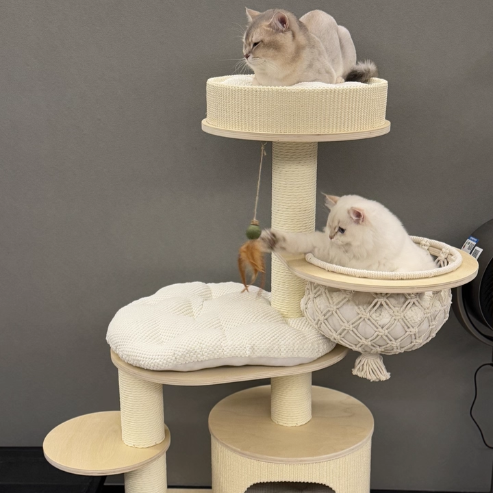 Contemporary Scandinavian Round Plywood Paper Rope Sisal Velvet Fabric Cat Tree & Condo 2-Condo 2-Perch For Bedroom
