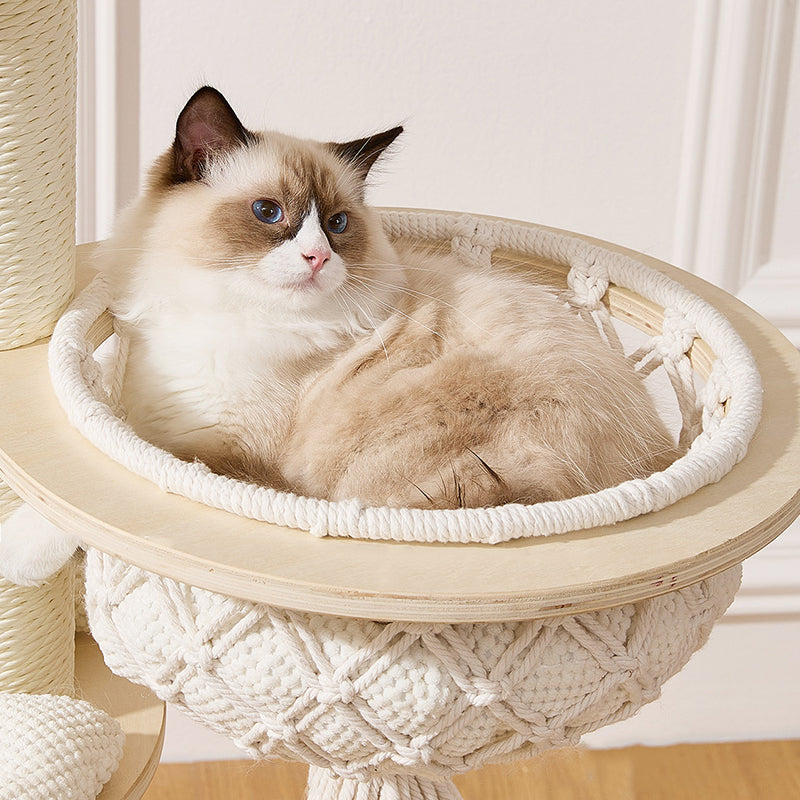 Contemporary Scandinavian Round Plywood Paper Rope Sisal Velvet Fabric Cat Tree & Condo 2-Condo 2-Perch For Bedroom