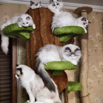 Contemporary Creative Round Particleboard Medium-Density Fiberboard Velvet Fabric Sisal Tree-Shape Cat Tree 6-Condo 12-Perch For Living Room