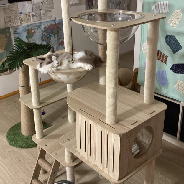 Contemporary Scandinavian Rectangular Medium-Density Fiberboard Velvet Fabric Hemp Rope Acrylic Cat Tree 3-Condo 4-Perch For Bedroom