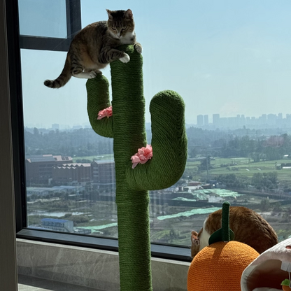 Contemporary Creative Round PVC Plastic Velvet Fabric Hemp Rope Cactus Cat Scratching Post 1-Condo 1-Perch For Bedroom
