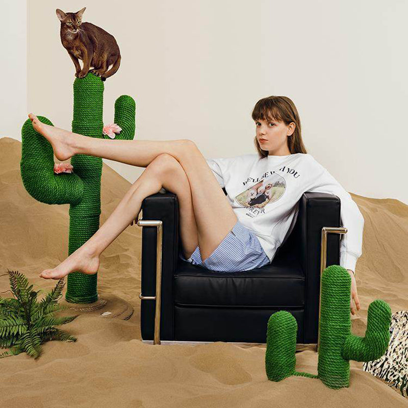 Contemporary Creative Round PVC Plastic Velvet Fabric Hemp Rope Cactus Cat Scratching Post 1-Condo 1-Perch For Bedroom