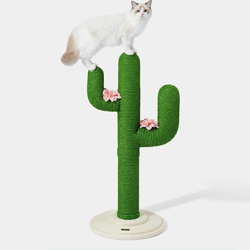Contemporary Creative Round PVC Plastic Velvet Fabric Hemp Rope Cactus Cat Scratching Post 1-Condo 1-Perch For Bedroom