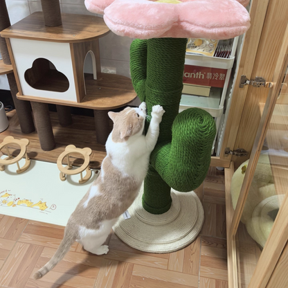 Contemporary Creative Round PVC Plastic Velvet Fabric Hemp Rope Cactus Cat Scratching Post 1-Condo 1-Perch For Bedroom