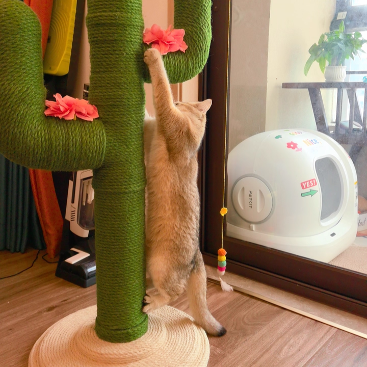 Contemporary Creative Round PVC Plastic Velvet Fabric Hemp Rope Cactus Cat Scratching Post 1-Condo 1-Perch For Bedroom