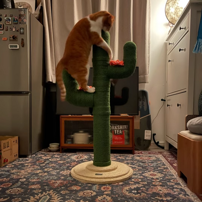 Contemporary Creative Round PVC Plastic Velvet Fabric Hemp Rope Cactus Cat Scratching Post 1-Condo 1-Perch For Bedroom