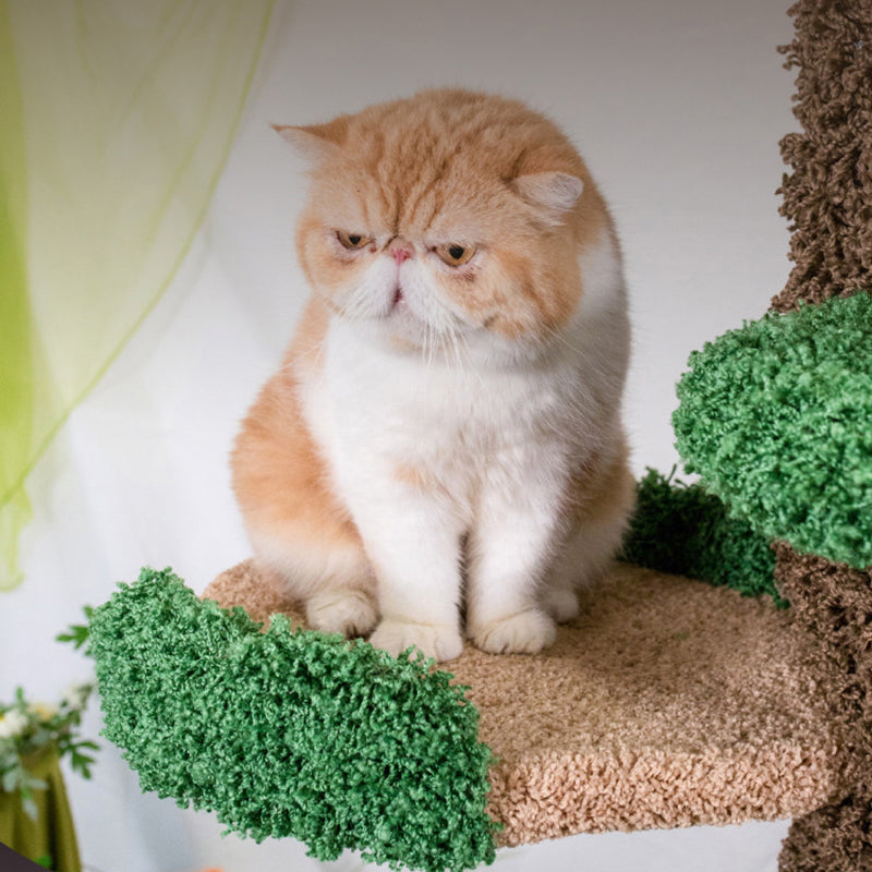 Contemporary Creative Round Eucalyptus Wood Panel Velvet Fabric Tree-Shaped Cat Tree 2/7-Perch For Bedroom