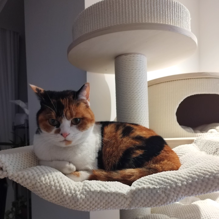 Contemporary Scandinavian Round Plywood Medium-Density Fiberboard Corduroy Paper Rope Cat Tree 2/3-Condo 2/3-Perch For Bedroom