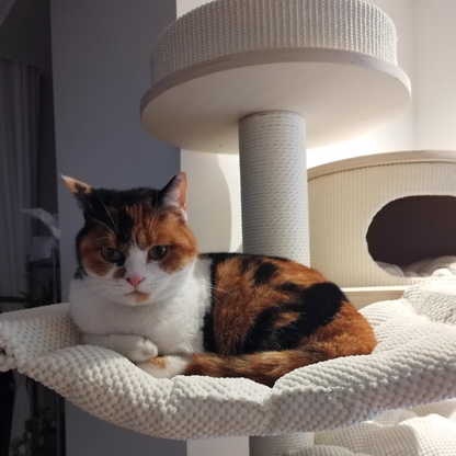 Contemporary Scandinavian Round Plywood Medium-Density Fiberboard Corduroy Paper Rope Cat Tree 2/3-Condo 2/3-Perch For Bedroom