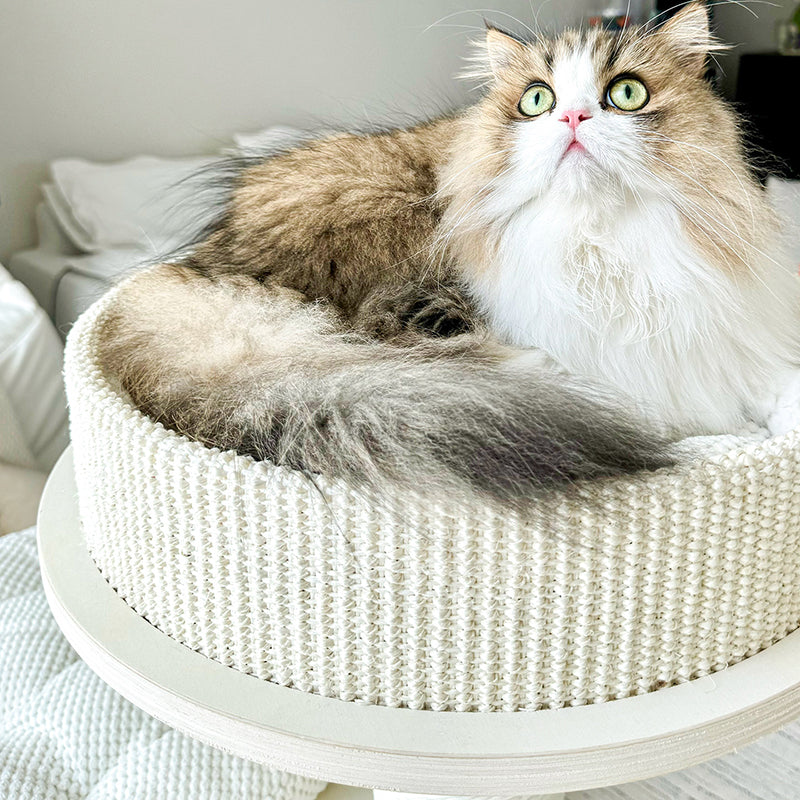 Contemporary Scandinavian Round Plywood Medium-Density Fiberboard Corduroy Paper Rope Cat Tree 2/3-Condo 2/3-Perch For Bedroom