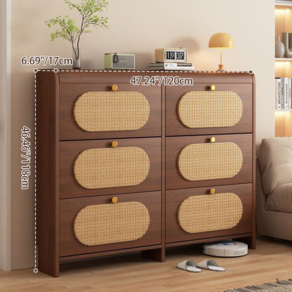 Contemporary Retro HDF Plastic Rectangular Shoe Storage 6-Cabinet For Entryway