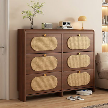 Contemporary Retro HDF Plastic Rectangular Shoe Storage 6-Cabinet For Entryway
