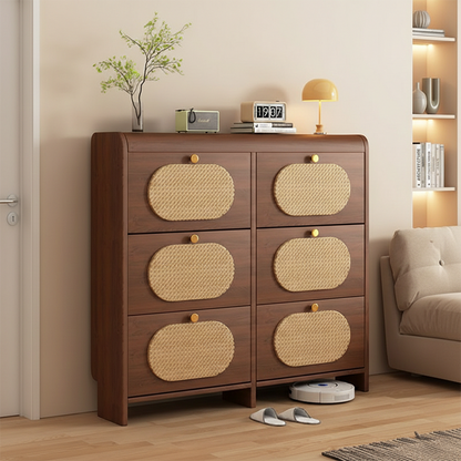 Contemporary Retro HDF Plastic Rectangular Shoe Storage 6-Cabinet For Entryway