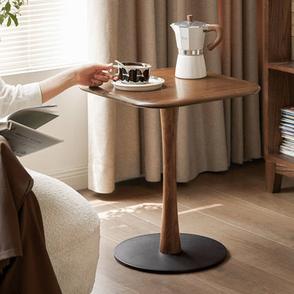 Modern Minimalist Square Black Walnut Metal End Table For Living Room