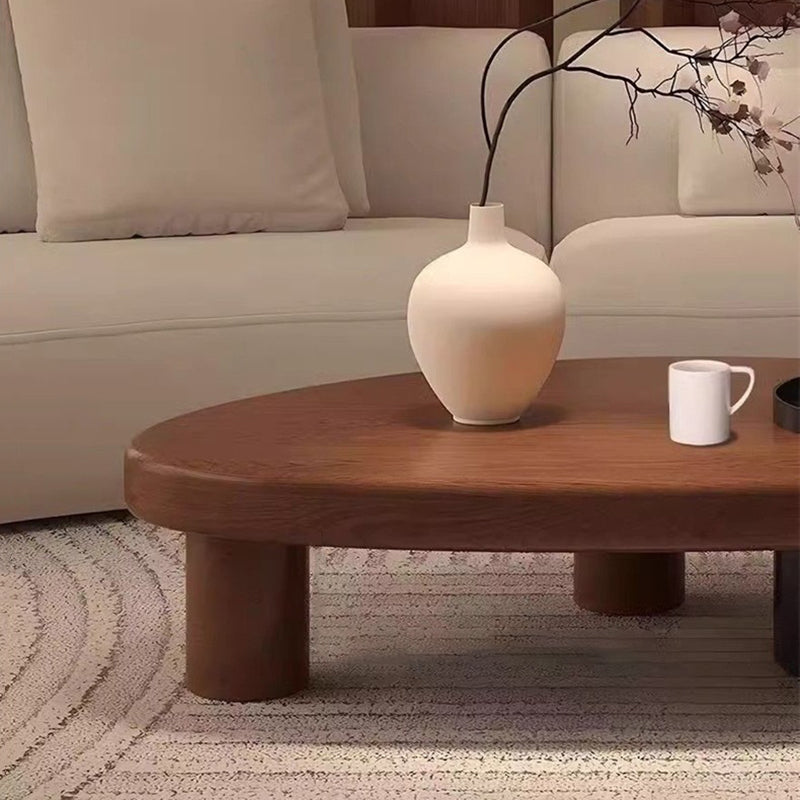 Contemporary Retro Ellipse Pine Wood Iron Hidden Storage Coffee Table 1-Cabinet For Living Room