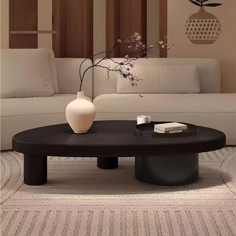 Contemporary Retro Ellipse Pine Wood Iron Hidden Storage Coffee Table 1-Cabinet For Living Room