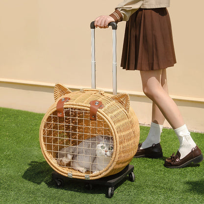 Contemporary Creative Cartoon Cat Iron PE Rattan Weaving Portable & Movable Hollowed-Out Cat Bed 1- Basket For Garden