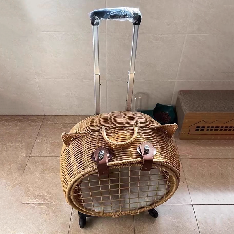 Contemporary Creative Cartoon Cat Iron PE Rattan Weaving Portable & Movable Hollowed-Out Cat Bed 1- Basket For Garden
