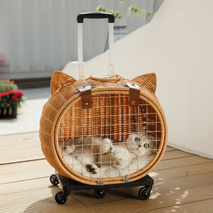Contemporary Creative Cartoon Cat Iron PE Rattan Weaving Portable & Movable Hollowed-Out Cat Bed 1- Basket For Garden