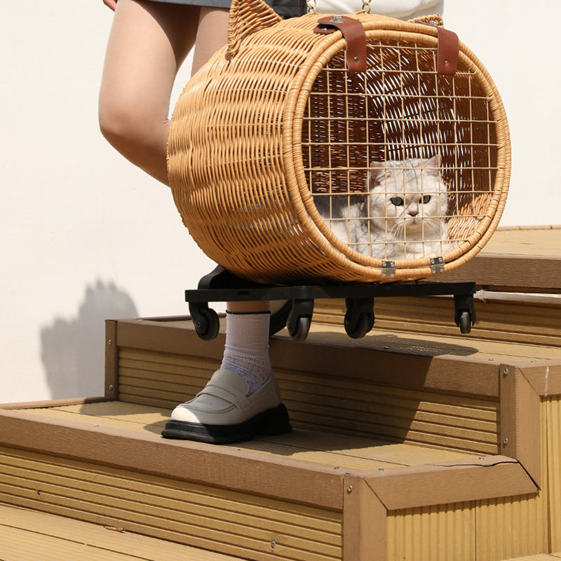 Contemporary Creative Cartoon Cat Iron PE Rattan Weaving Portable & Movable Hollowed-Out Cat Bed 1- Basket For Garden