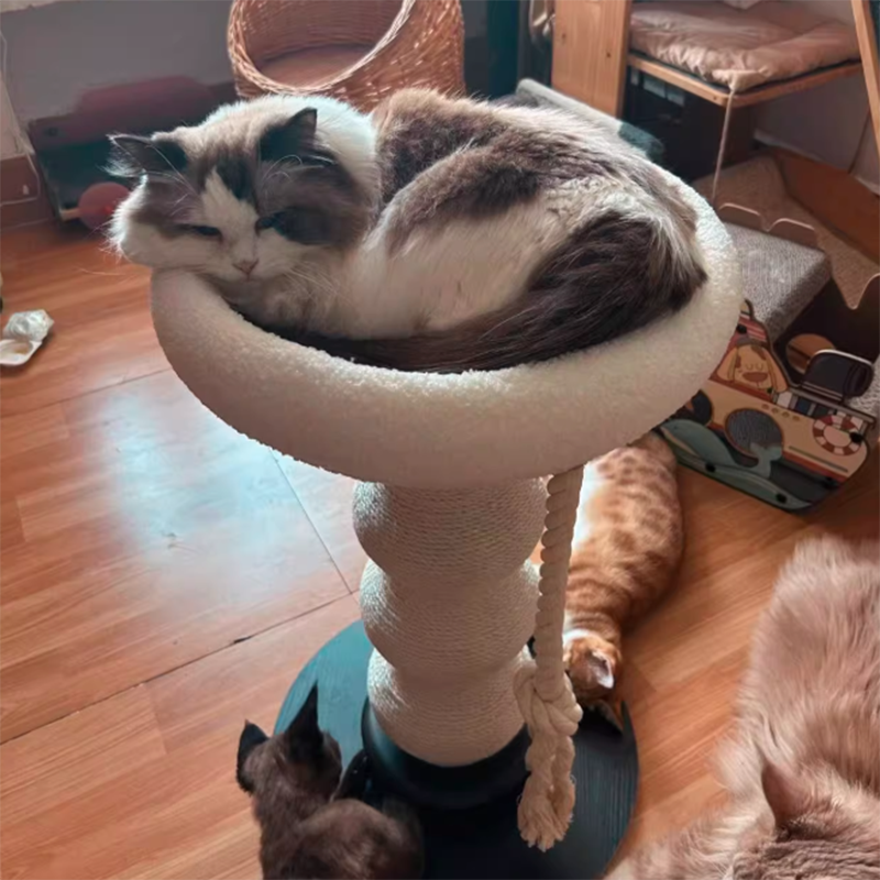Contemporary Creative Gourd Sisal Rope MDF Scratch-Resistant Space-Saving Cat Tower 2-Tier For Living Room