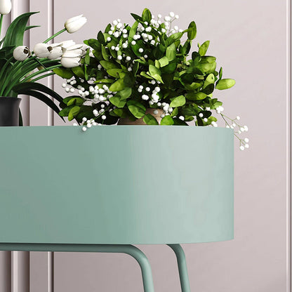 Modern Minimalist Iron Oval Plant Indoor Storage Shelf 2-Tier For Living Room & Balcony