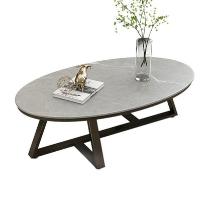 Contemporary Scandinavian Sintered Stone Iron Long Oval Coffee Table With 1-Tier For Living Room