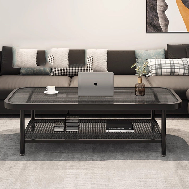Traditional French Glass Iron Rounded Rectangular Coffee Table 2-Tier For Living Room