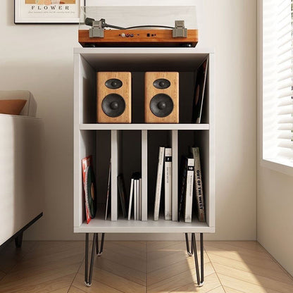 Modern Minimalist Rectangular Particle Board Metal Vinyl Record Storage Cabinet 2-Tier For Living Room