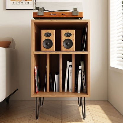 Modern Minimalist Rectangular Particle Board Metal Vinyl Record Storage Cabinet 2-Tier For Living Room