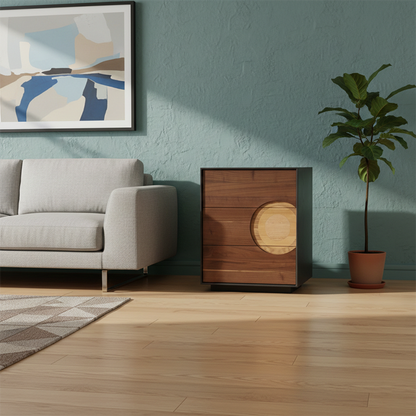 Contemporary Creative Solid Wood & Plywood Rectangular Storage Cabinet With 2/3/4/5 Drawers For Living Room
