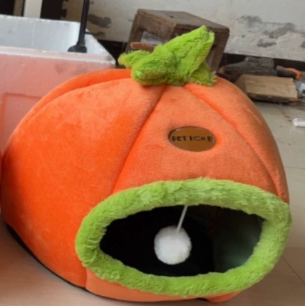 Contemporary Creative Velvet PP Cotton Persimmon-Shaped Cat Bed 1-Toy Ball For Living Room & Bedroom